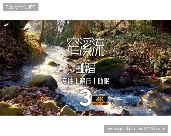 提升专注力的白噪音软件推荐帮助你集中精力提高工作效率